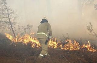Muğla’da ormancılar teyakkuzda