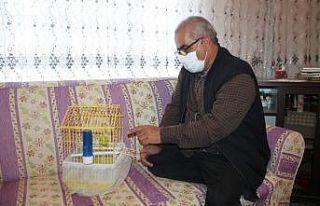 Muhabbet kuşundan vatandaşlara ’evde kal Türkiye’...