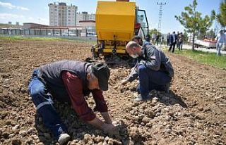 Mustafa Şahin: “Kayseri’de bulunan her boş araziyi...