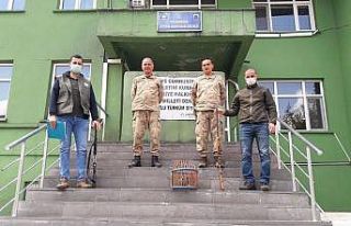 Mutki’de ’canlı mühre’ olarak kullanılan...