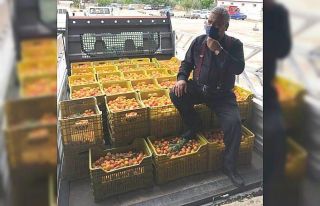 Mut’ta kayısı üreticisi fiyatlardan, tüccar...