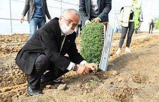 Ordu’da sözleşmeli tarım başlıyor