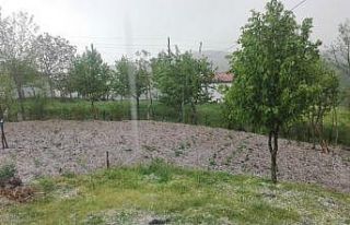 Ordu’nun yükseklerinde şiddetli dolu yağışı