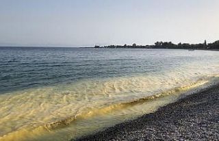 Ören’de sarı deniz görenleri şaşkına çevirdi