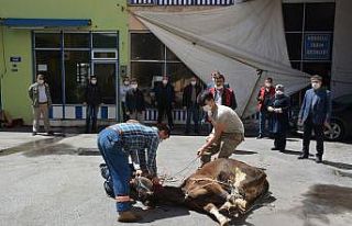 Örenli ailesi kurbanı belediyeye bağışladı