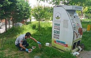 Osmangazi’de sokak hayvanları sahipsiz kalmadı