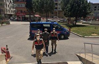 Osmaniye’de terör örgütü El Kaide zanlısı...