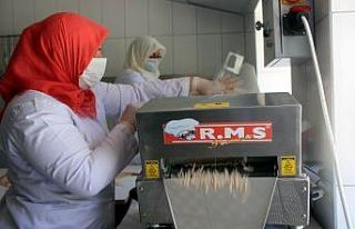 (Özel) 11 kadın çiftçi hem tarlalarında üretiyor...