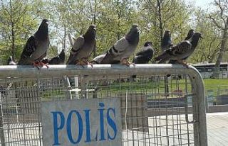 (Özel) Belediye görevlisi Taksim Meydanı’nda...
