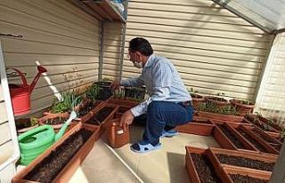 (Özel) Cumhurbaşkanının talimatını dinledi,...