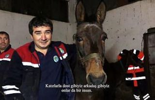 (Özel) Genç yönetmen işçi katırları belgesel...