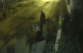 (Özel) İstanbul’da “sosyal mesafesiz” ilginç...