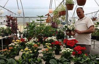 (Özel) Korona sayesinde balkonlar bahçeye dönüştü