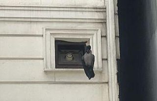 (Özel) Pendik’te dehşete düşüren görüntü:...