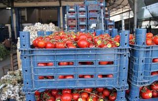 (Özel) Sebze arzı patladı, fiyatlar halde dip yaptı,...