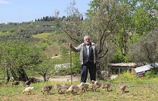 (Özel) Yaşlı adama 20 milyonluk şok...