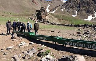 Palandöken’de ağaçlandırma ve erozyon kontrol...