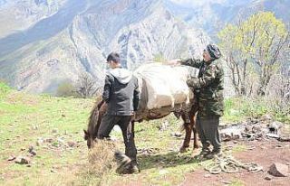 Pancar toplamak için dağı tırmanıp kilometrelerce...