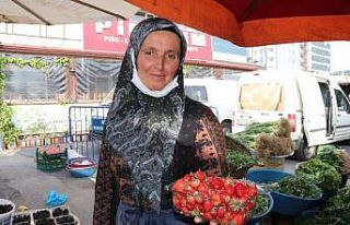 Pazara inen çilek 1 saatte tükendi