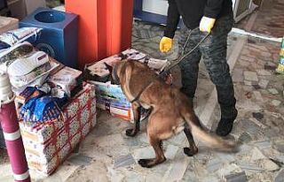 Polis kargocu kılığına girdi, gıda kolisinde...