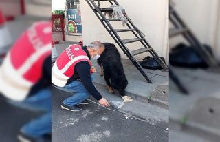Polis memuru, iftarlık kumanyasını sokak köpeğiyle...
