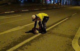 Polis memuruyla köpeğin gülümseten görüntüleri