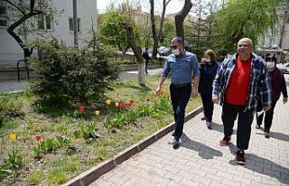 Pursaklar lalelerin göz alıcı güzelliği ile taçlanıyor