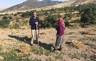Recep Konuk: “Tarım sektörü, ekonominin sıfır...