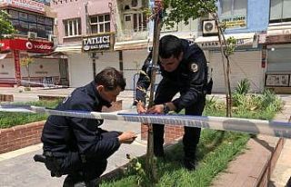 Rüzgardan eğilen ağacın yardımına Kızıltepe...