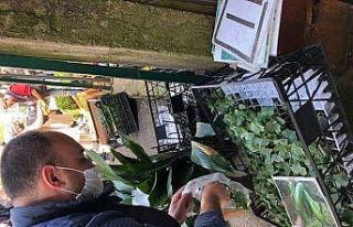 Sakarya’da fideye talep arttı