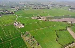 Samsun’da 2020’de 430 bin 170 dekar tarım arazisi...