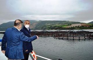 Samsun’da balık çiftliklerinde yılda 16 bin tondan...