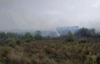 Samsun’da korkutan sazlık yangını
