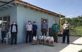 Şaphane’de üreticilere tohum desteği devam ediyor