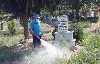 Sarıgöl’ün mezarlıklarında hummalı çalışma