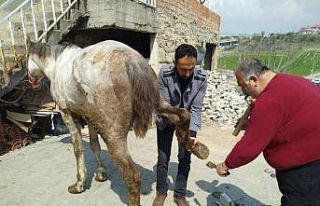Selendi’nin tek nalbant ustası mesleğini seyyar...