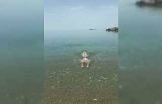 Sıcak havanın keyfini denize girerek çıkardılar