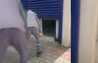 Sıcaklar tavan yaptı, yılanlar ortaya çıkmaya...