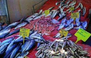 Sıcaklık arttı, balığa ilgi azaldı