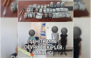 Sigorta şalteri hırsızları yakalandı