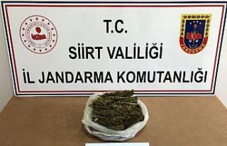 Siirt’te 1 kilogram esrar ele geçirildi