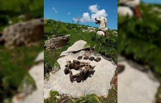 Siirt’te teröristlere ait mühimmat ele geçirildi