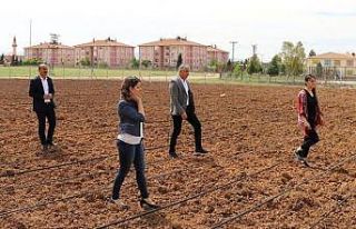 Silopi’de fide ekimi başladı