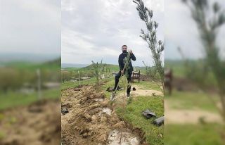 Silvan’da 9 bin fidan toprakla buluştu