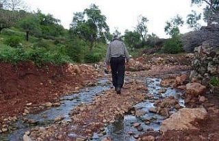 Silvan’da mahallelinin yol çilesi