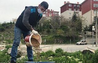 Sincan Belediyesi sokak hayvanlarına sahip çıkıyor