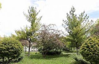 Sincan’da parklar ve sokaklar 20 yaş altı için...