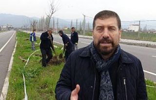 Sındırgı’da 3 bin ağaç toprakla buluştu