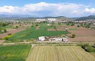 Sındırgı’da tarım seferberliği