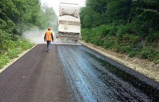 Sinop köylerine 43 milyon TL ödenek